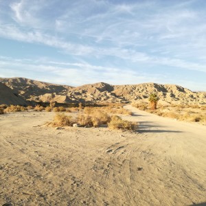 Visitare Palm Springs The Joshua Tree National Park