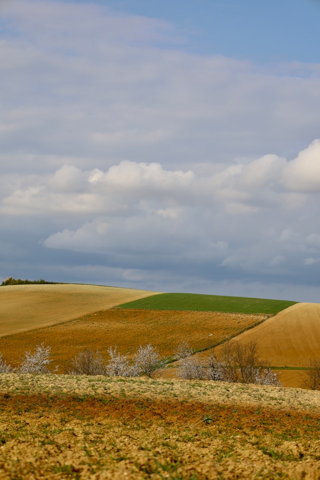 cosa-vedere-dove-dormire-monferrato-piemonte