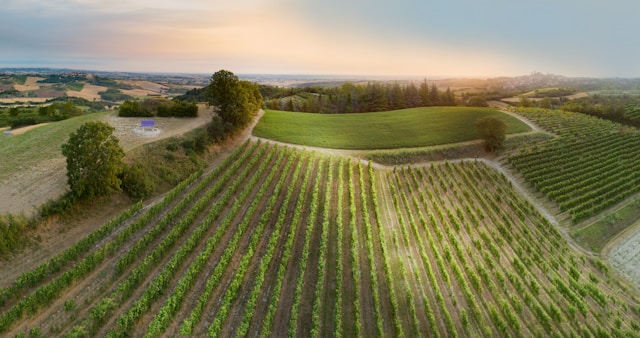 dove-dormire-monferrato-piemonte-indirizzi