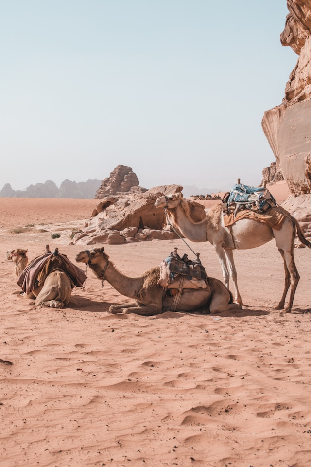 notte-deserto-indirizzi-giordania